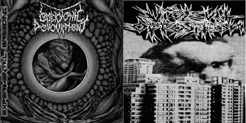 Embryonic Devourment : Embryonic Devourment - Violent Opposition